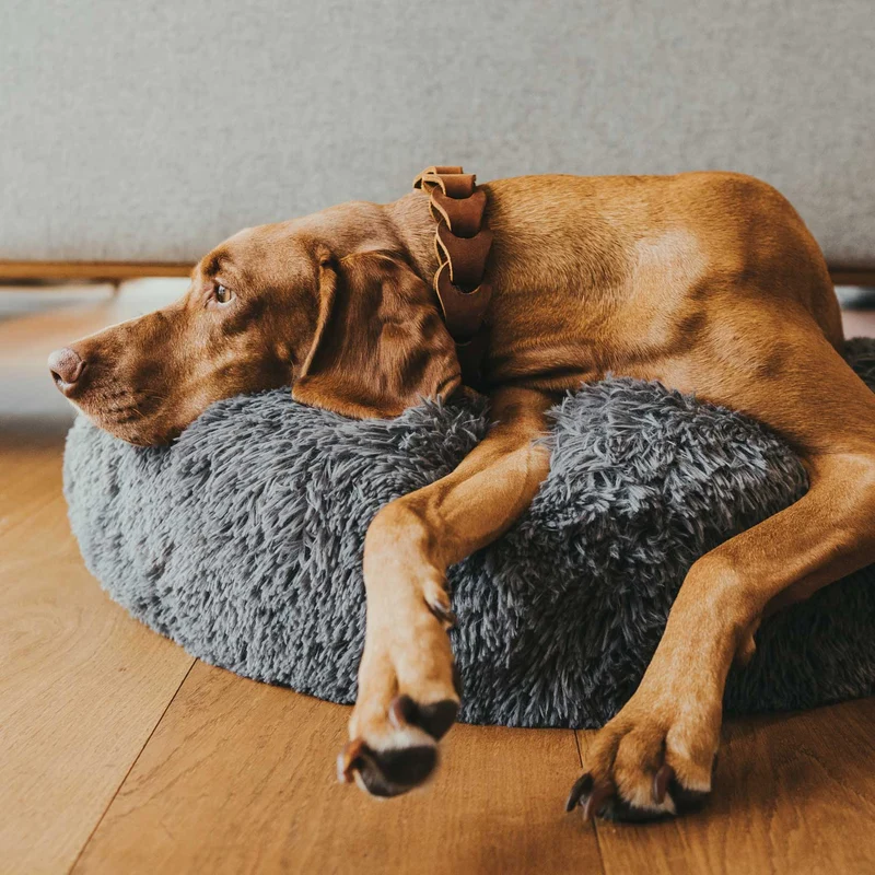 Hundebett Donut Loppa