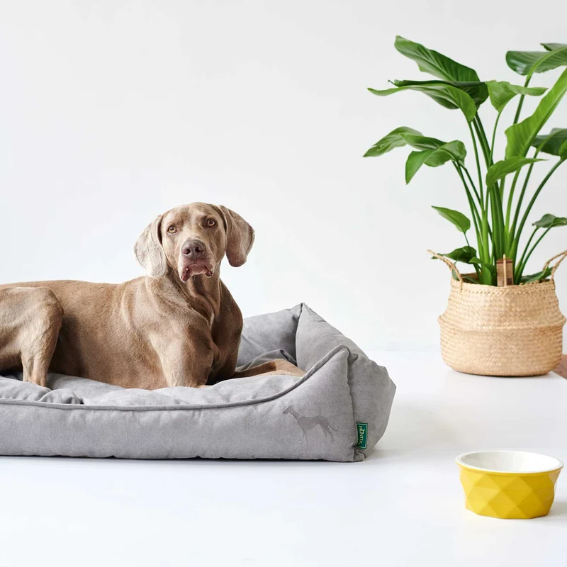 Hundesofa Eiby