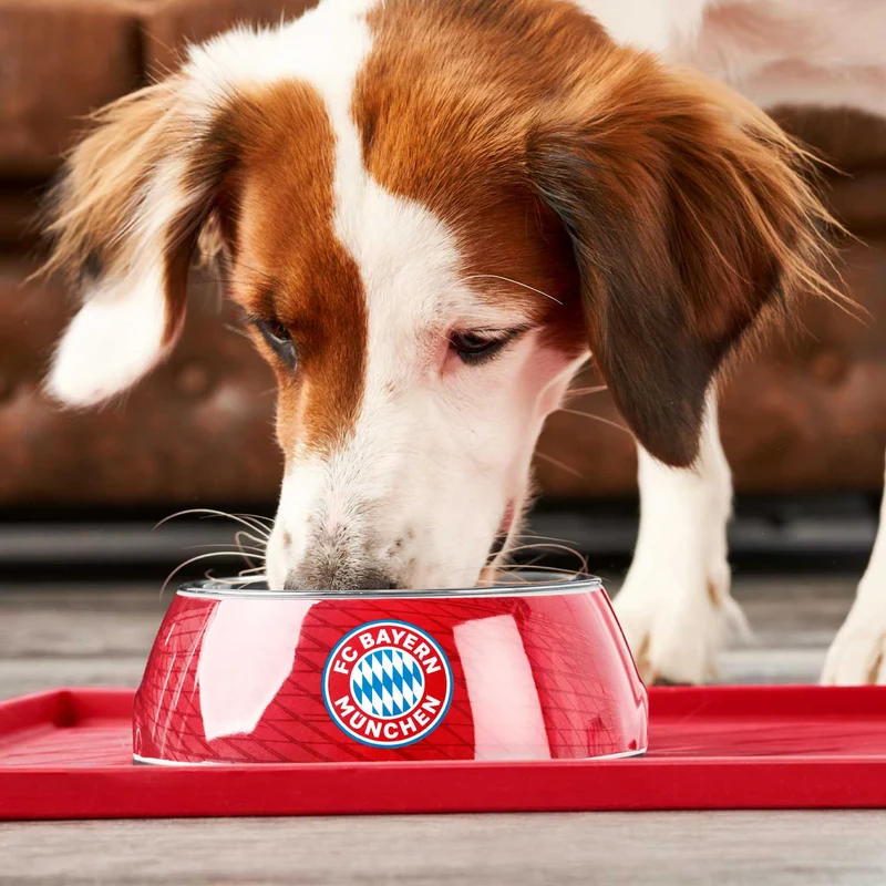 Melamin-Napf FC Bayern München