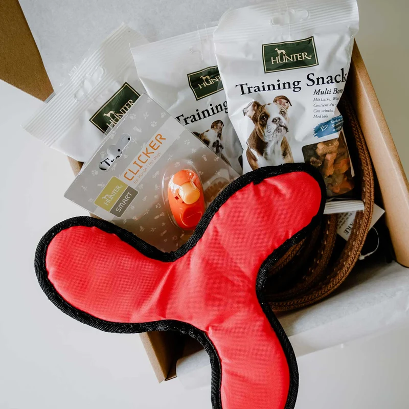 Trainingsbox