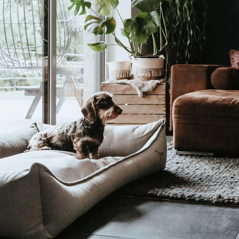 Orthopädisches/Ergonomisches Hundesofa Merida
