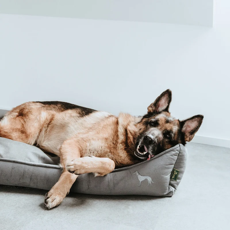 Orthopädisches/Ergonomisches Hundesofa Merida