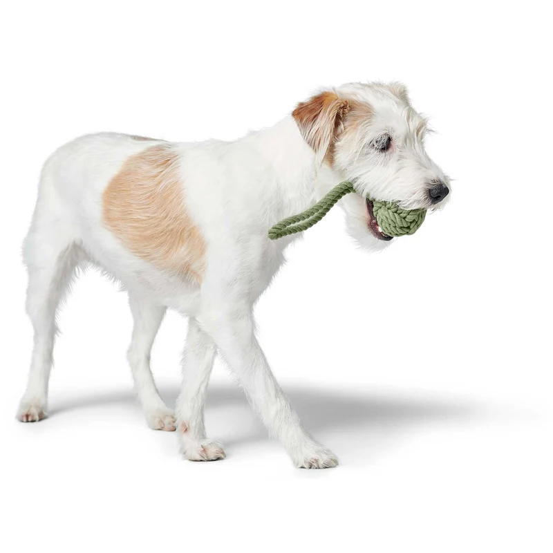 Hundespielzeug Inari