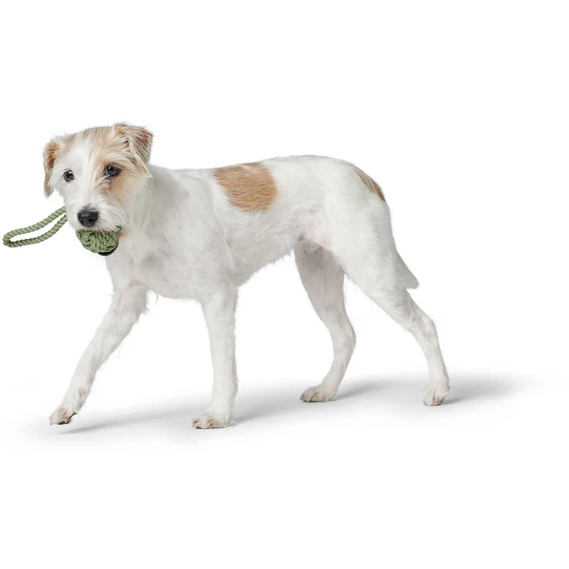 Hundespielzeug Inari