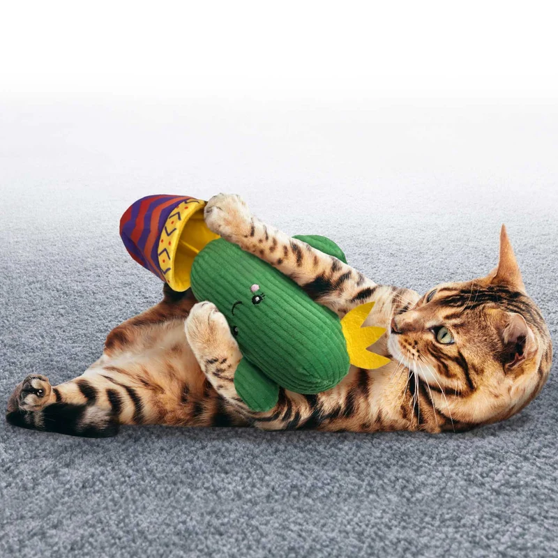 Katzenspielzeug KONG® Wrangler Cactus