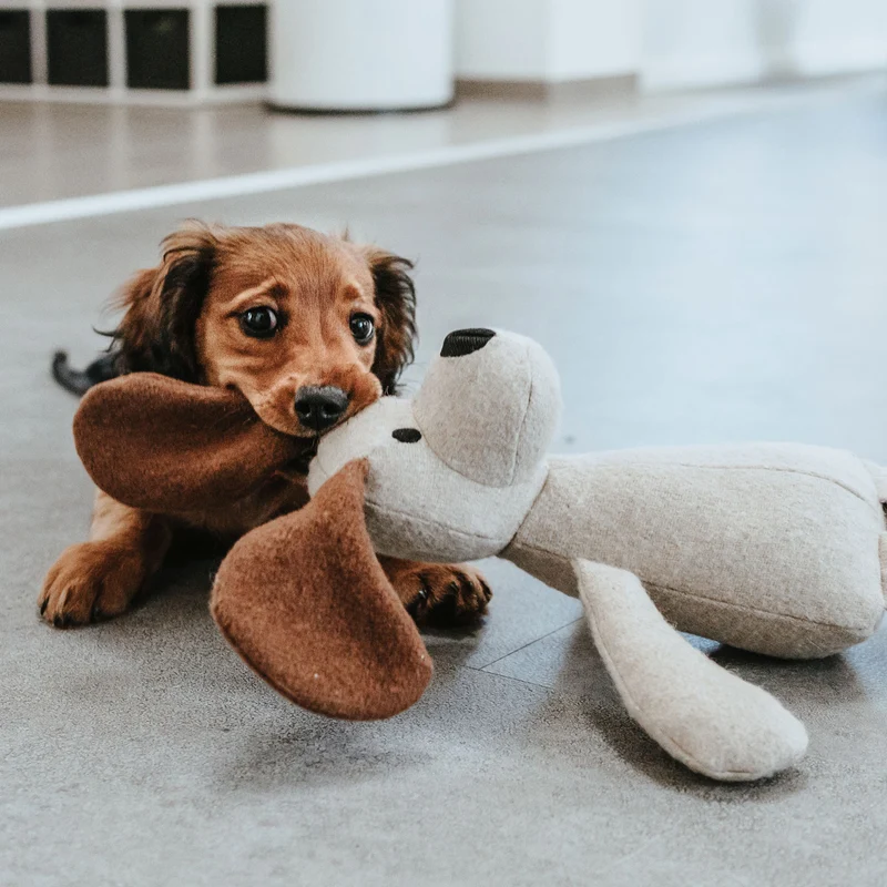 Hundespielzeug Marle