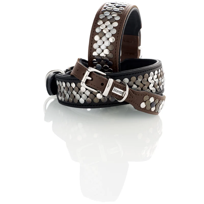 Halsband Arizona Up