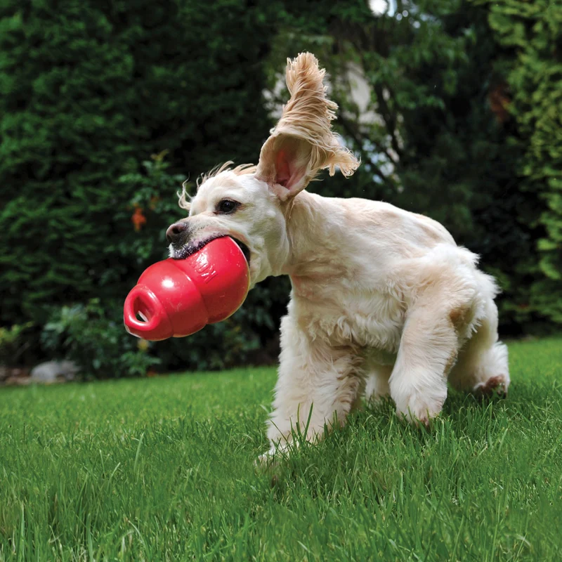 Hundespielzeug KONG® Bounzer™