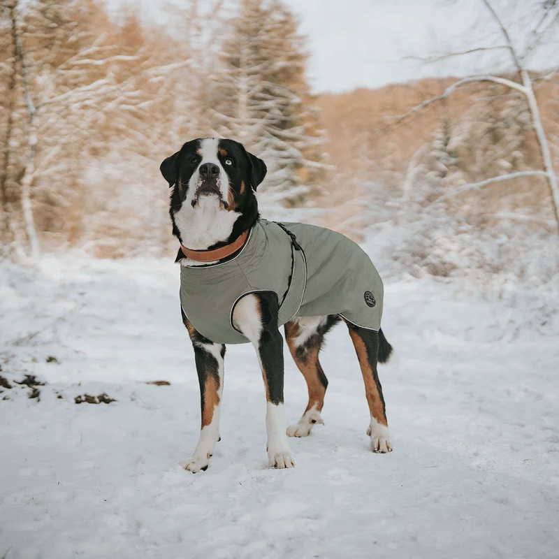Hundemantel Uppsala