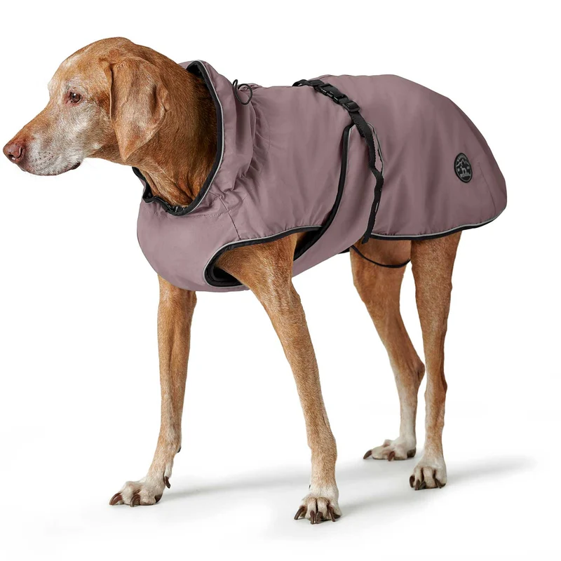 Hundemantel Uppsala