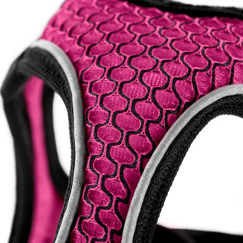 Geschirr Hilo Comfort