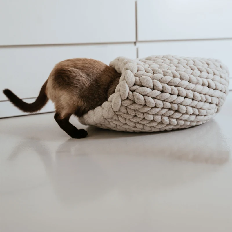 Katzenhöhle Hoodie