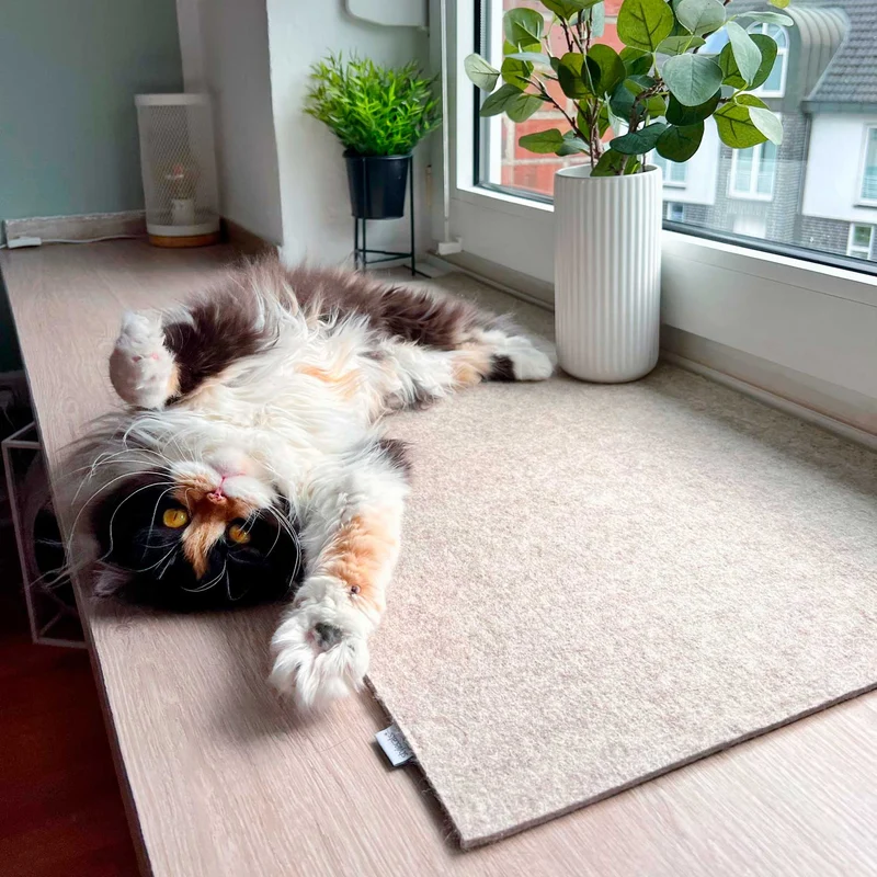 Fensterbankauflage Look