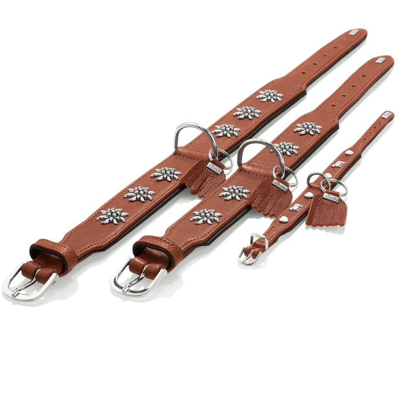 Halsband München