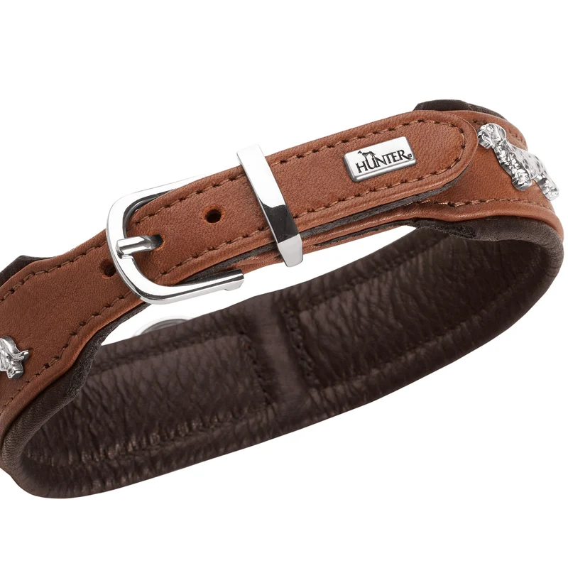 Teckel-Halsband München