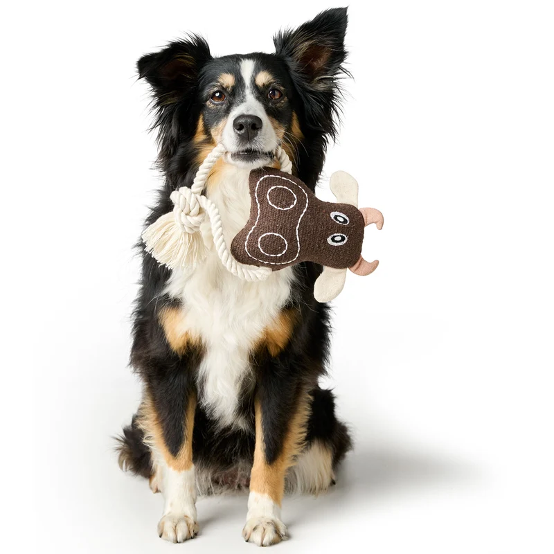 Hundespielzeug Nebraska