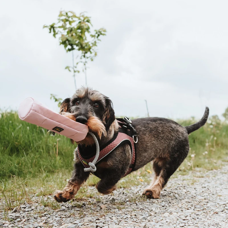 Trainer Snack Dummy mit Seil