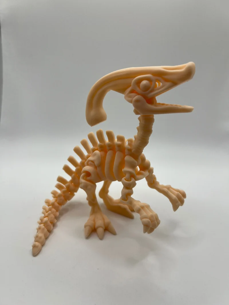 Skeletal Dinosaurs!