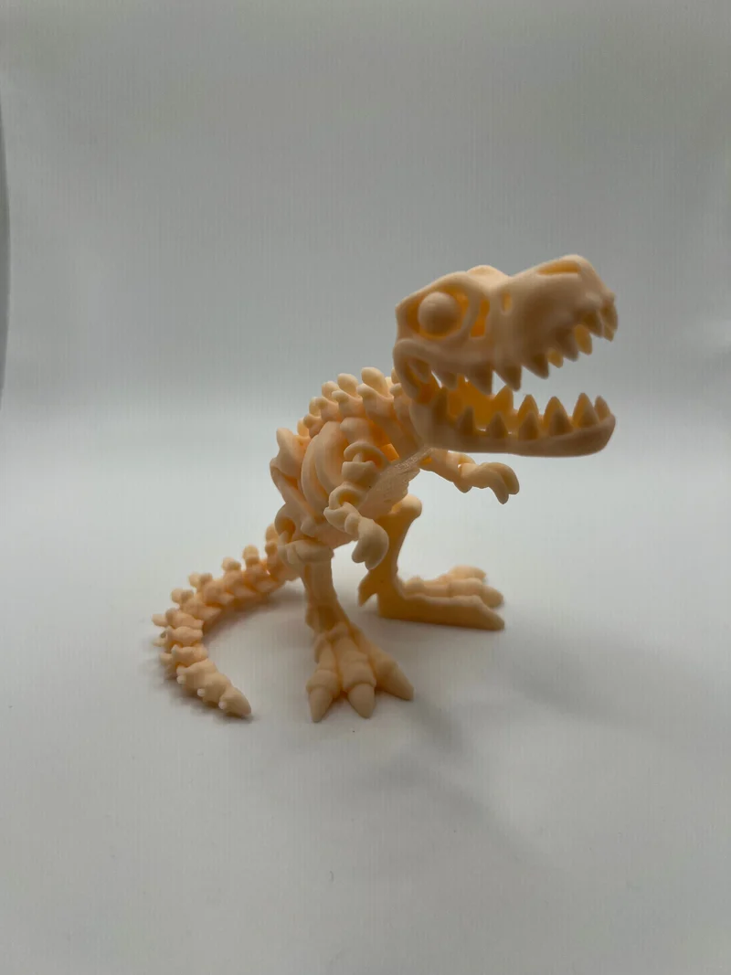 Skeletal Dinosaurs!