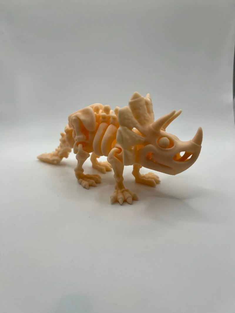 Skeletal Dinosaurs!