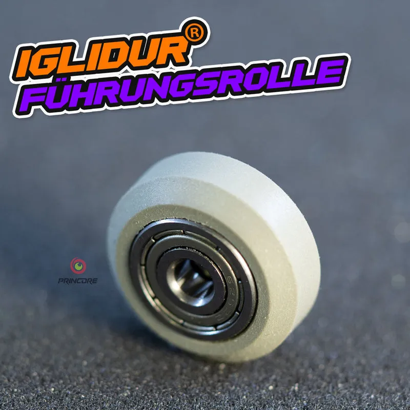 FUNDGRUBE - IglidurⓇ Führungsrolle - Kat01